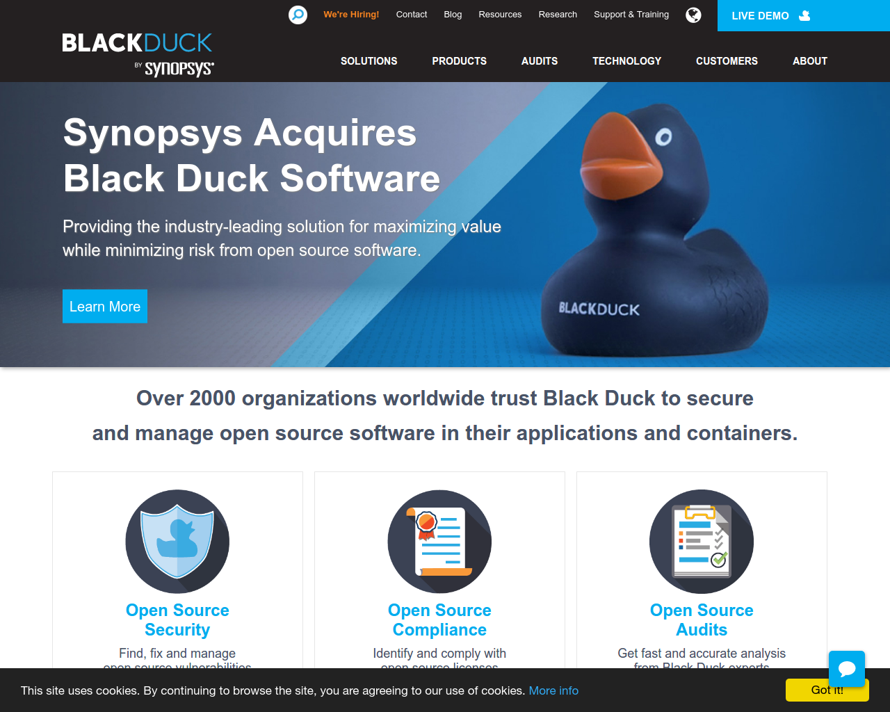 black duck synopsys